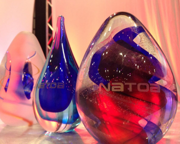 2015 NATOA Government Programming Awards