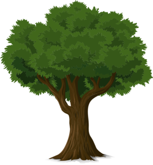 tree